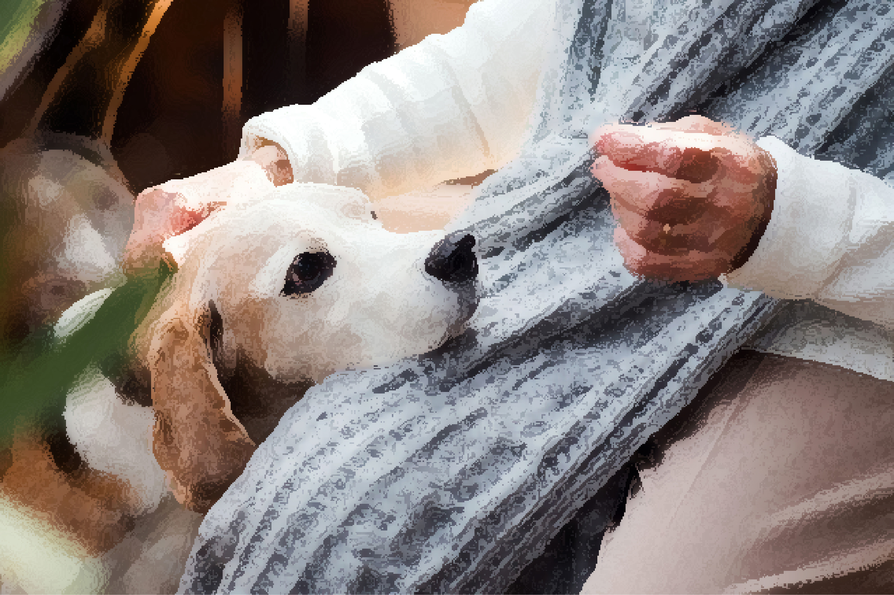 散骨,海洋散骨,瀬戸内海