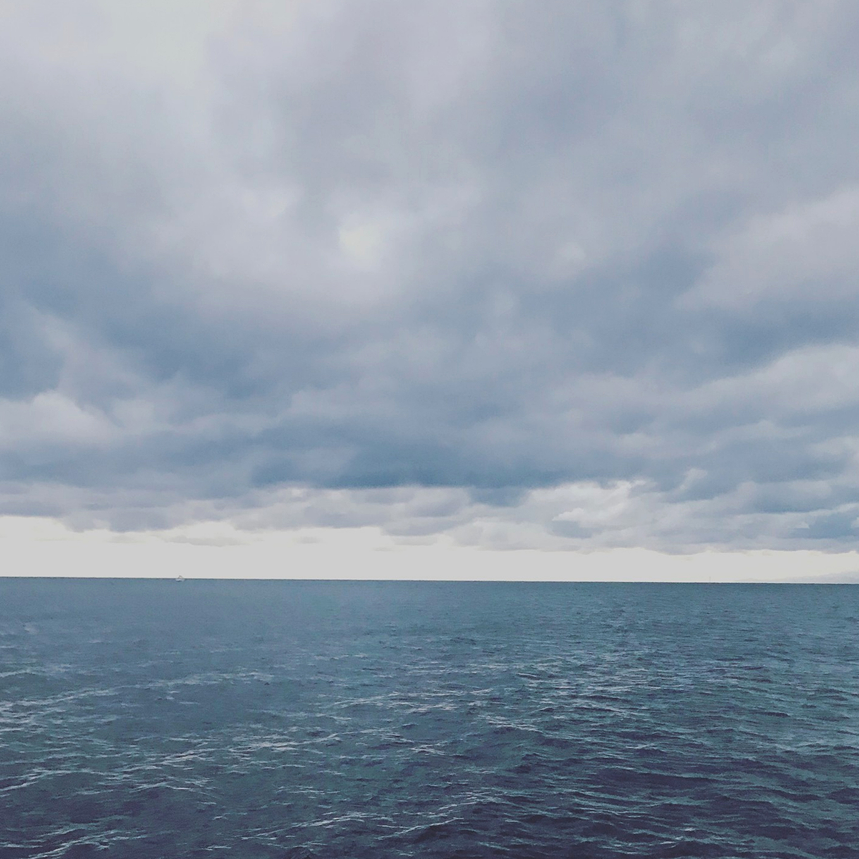 散骨・海洋散骨・瀬戸内・ペット葬