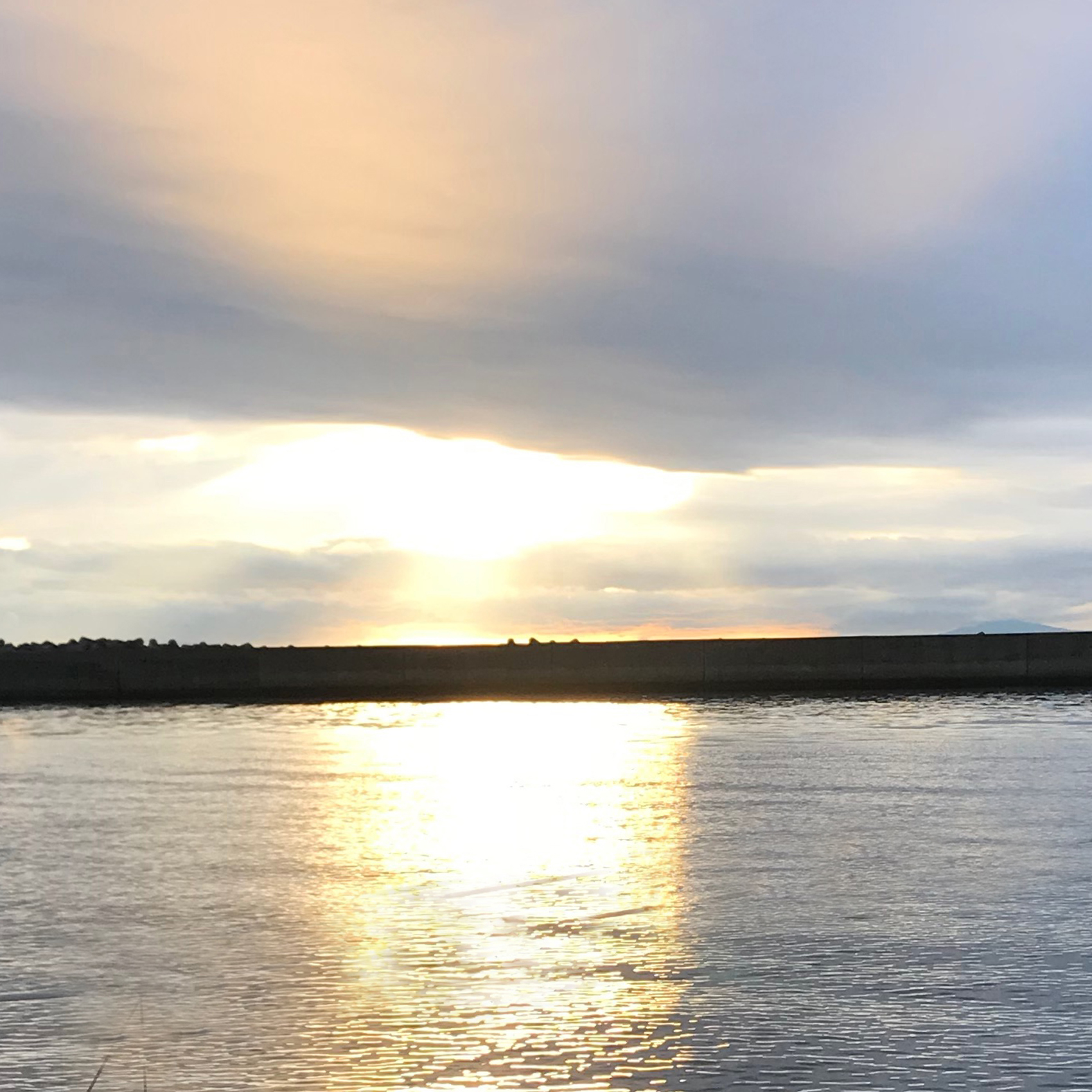 散骨・海洋散骨・瀬戸内・ペット葬