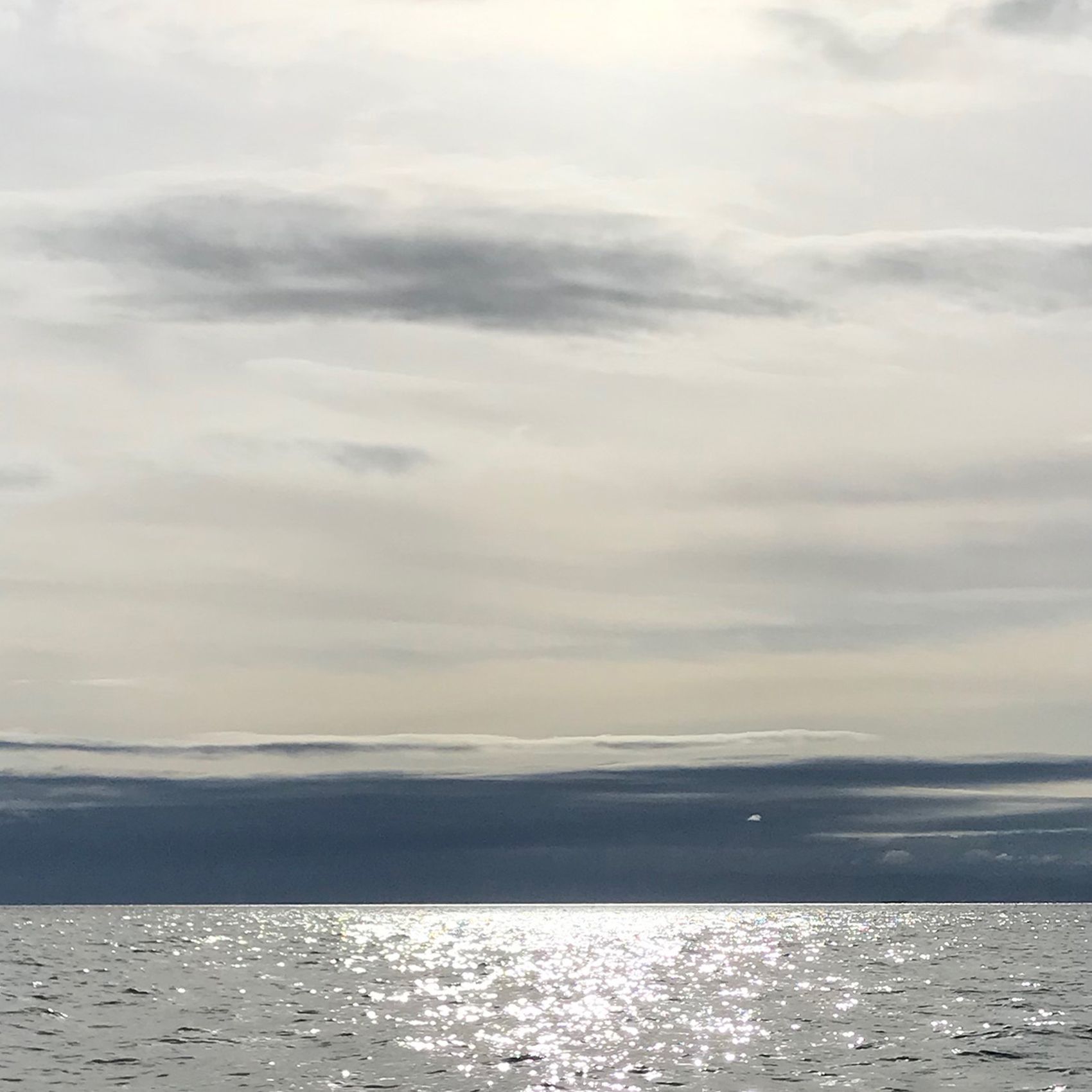 散骨・海洋散骨・瀬戸内・ペット葬