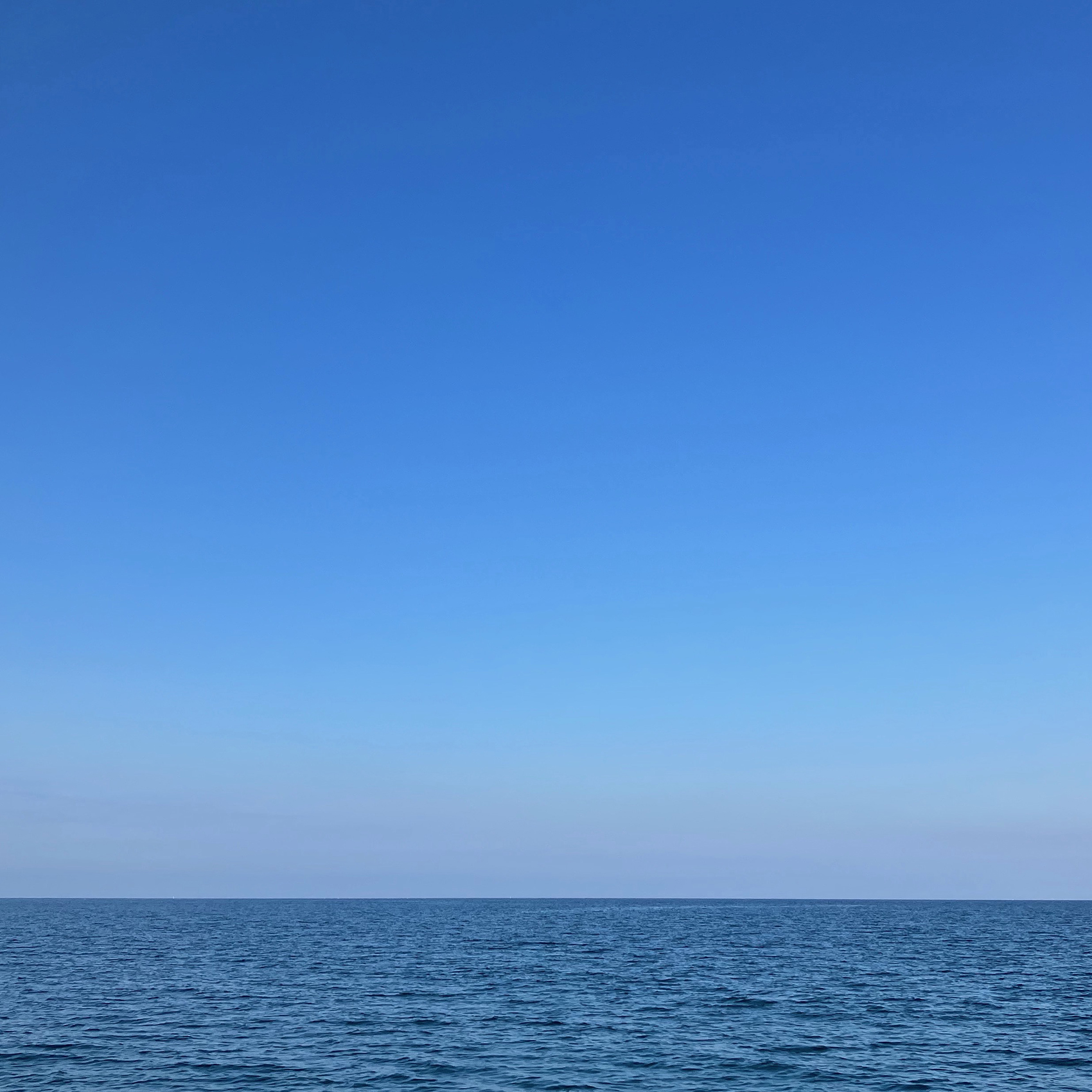 散骨,海洋散骨,瀬戸内海,ペット葬