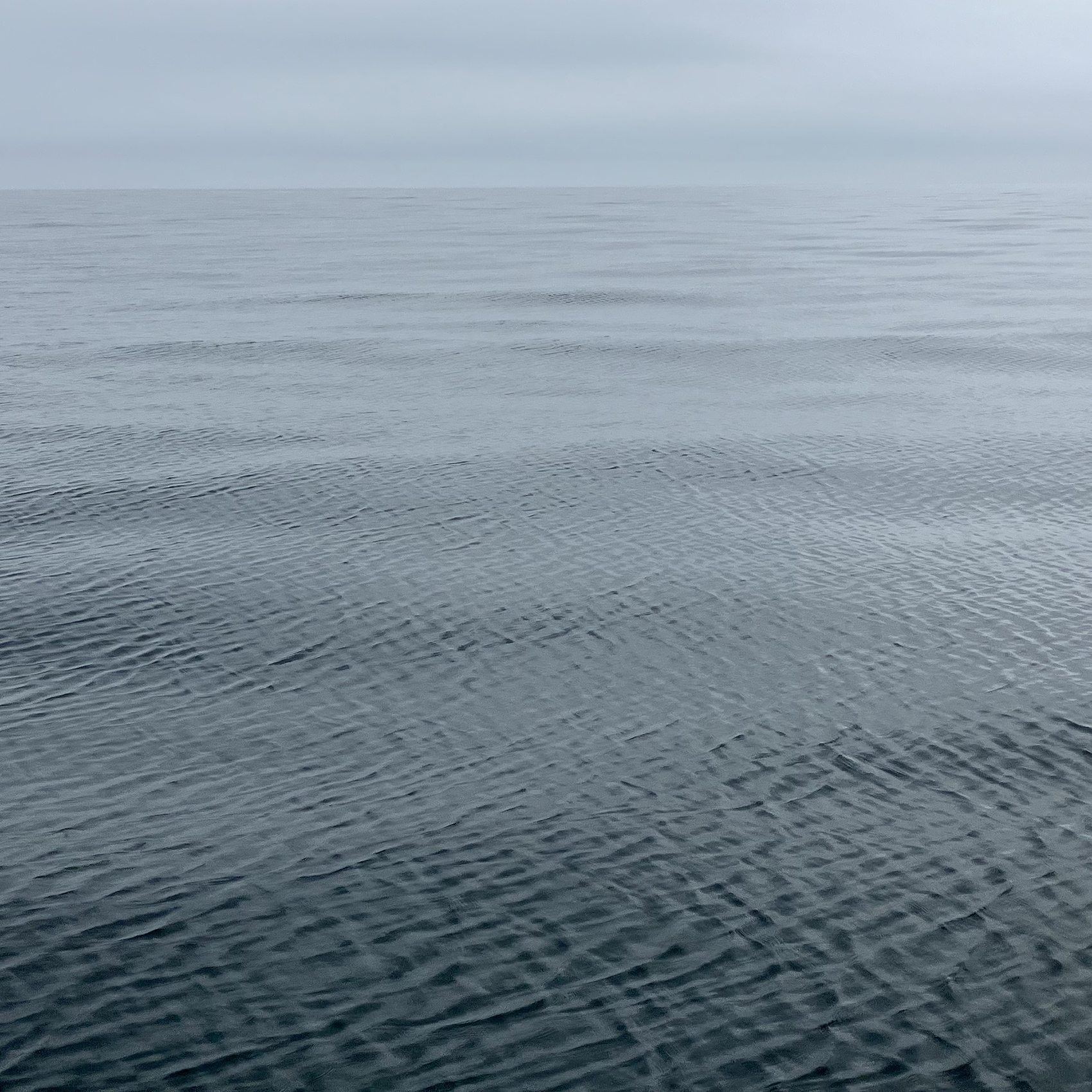散骨,海洋散骨,瀬戸内海,週末