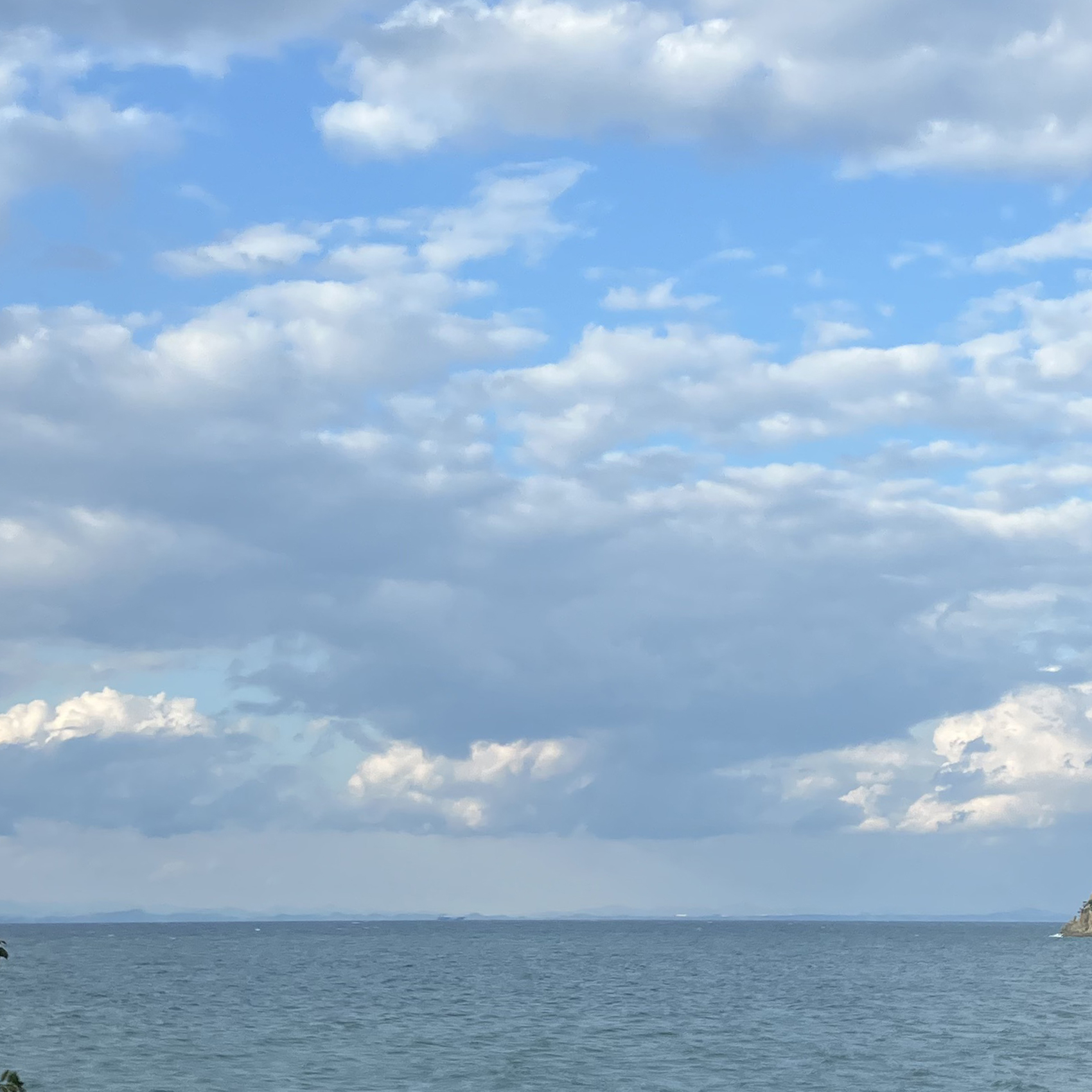 #墓じまい #墓じまい相談 #海洋葬 #粉骨 #散骨 #海洋散骨 #ペット散骨 #終活 #瀬戸内散骨堂 #ペットセレモニー #はかじまい #神戸