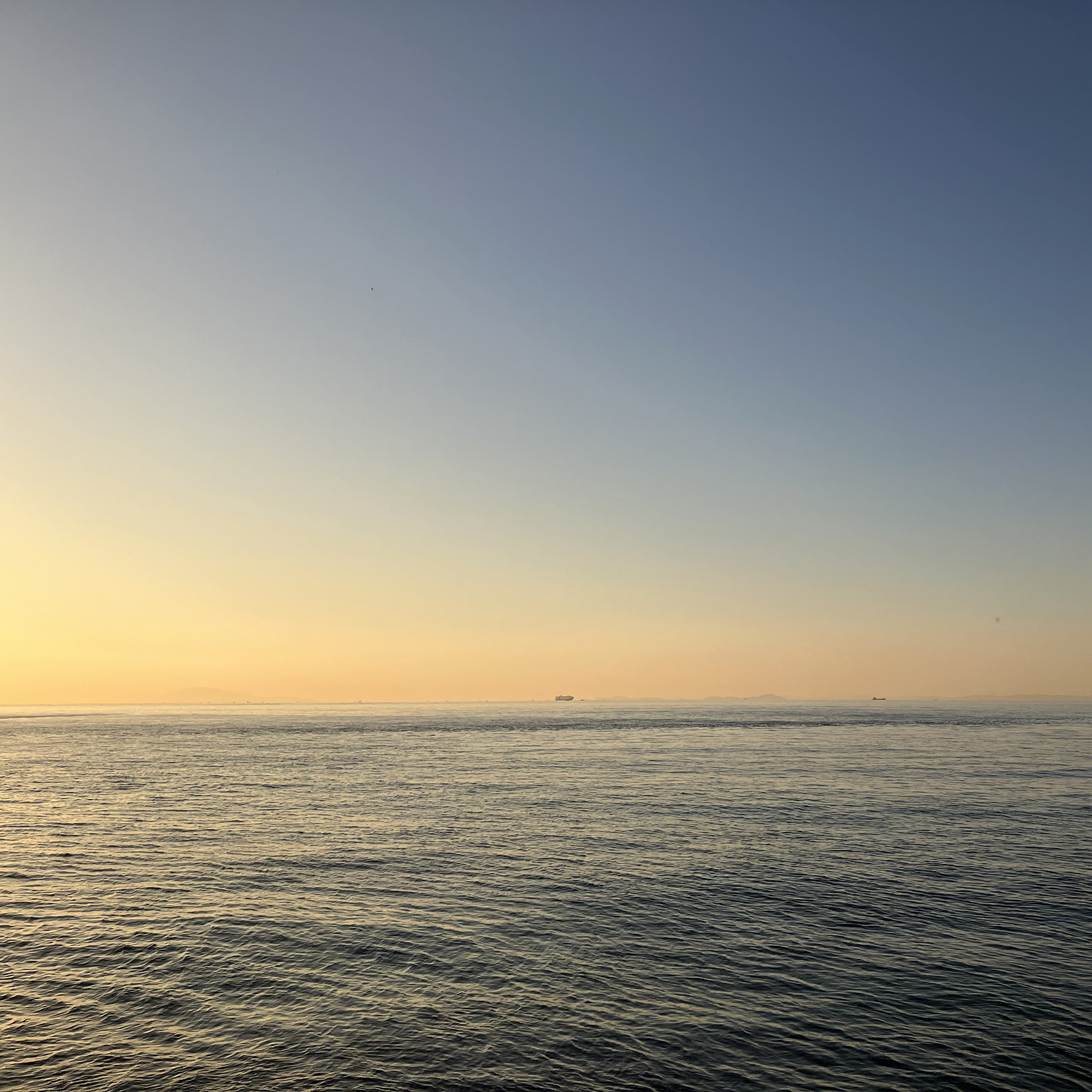 #墓じまい #墓じまい相談 #海洋葬 #粉骨 #散骨 #海洋散骨 #ペット散骨 #終活 #瀬戸内散骨堂 #ペットセレモニー #はかじまい #神戸