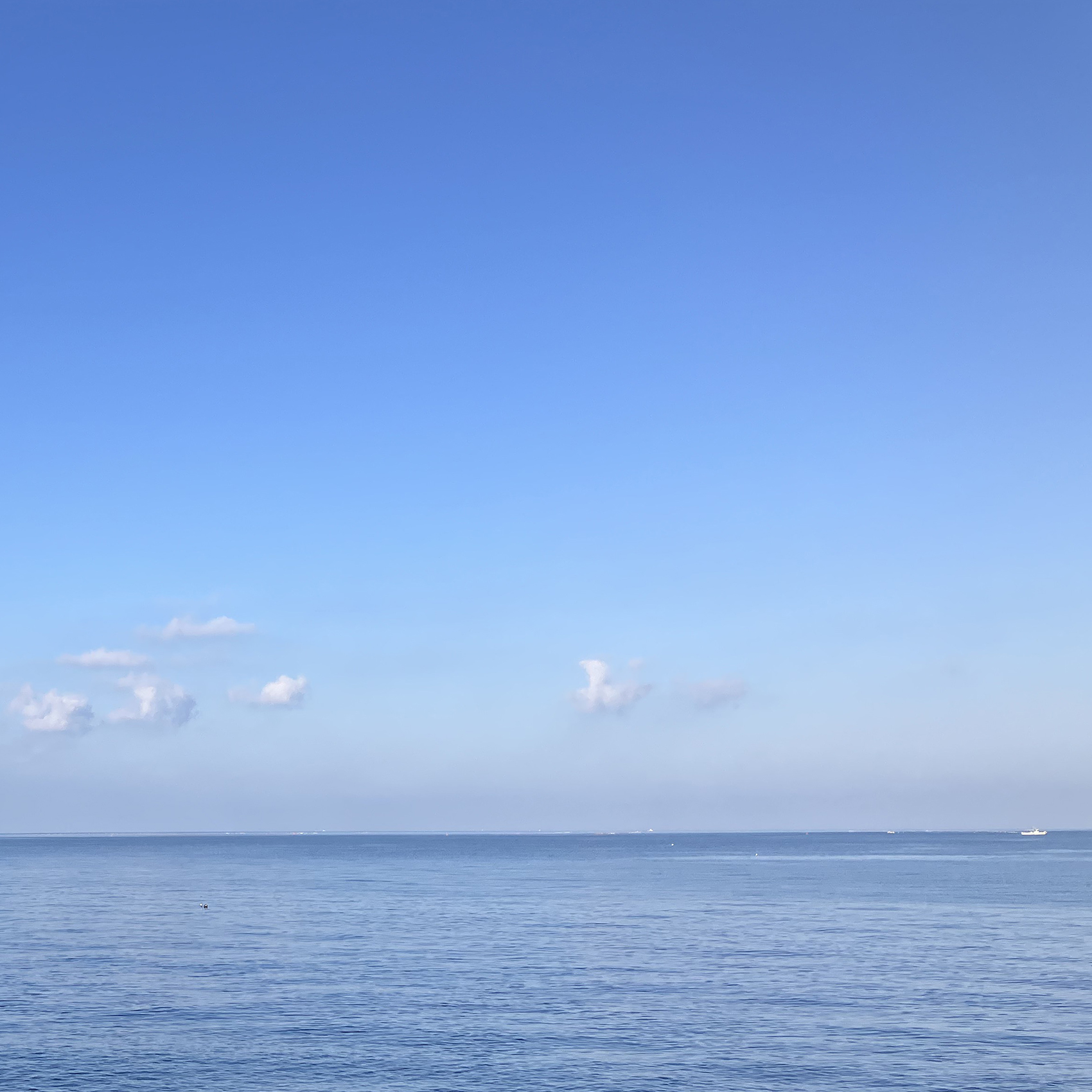 #墓じまい #墓じまい相談 #海洋葬 #粉骨 #散骨 #海洋散骨 #ペット散骨 #終活 #瀬戸内散骨堂 #ペットセレモニー #はかじまい #神戸