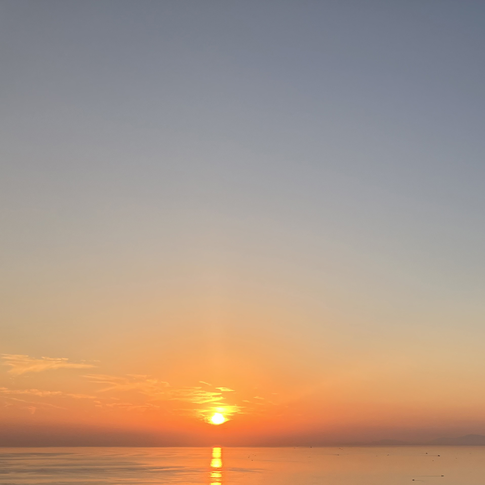 #墓じまい #墓じまい相談 #海洋葬 #粉骨 #散骨 #海洋散骨 #ペット散骨 #終活 #瀬戸内散骨堂 #ペットセレモニー #はかじまい #神戸