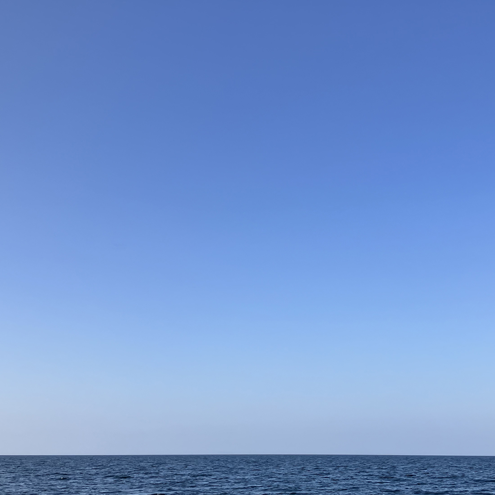 #墓じまい #墓じまい相談 #海洋葬 #粉骨 #散骨 #海洋散骨 #ペット散骨 #終活 #瀬戸内散骨堂 #ペットセレモニー #はかじまい #神戸