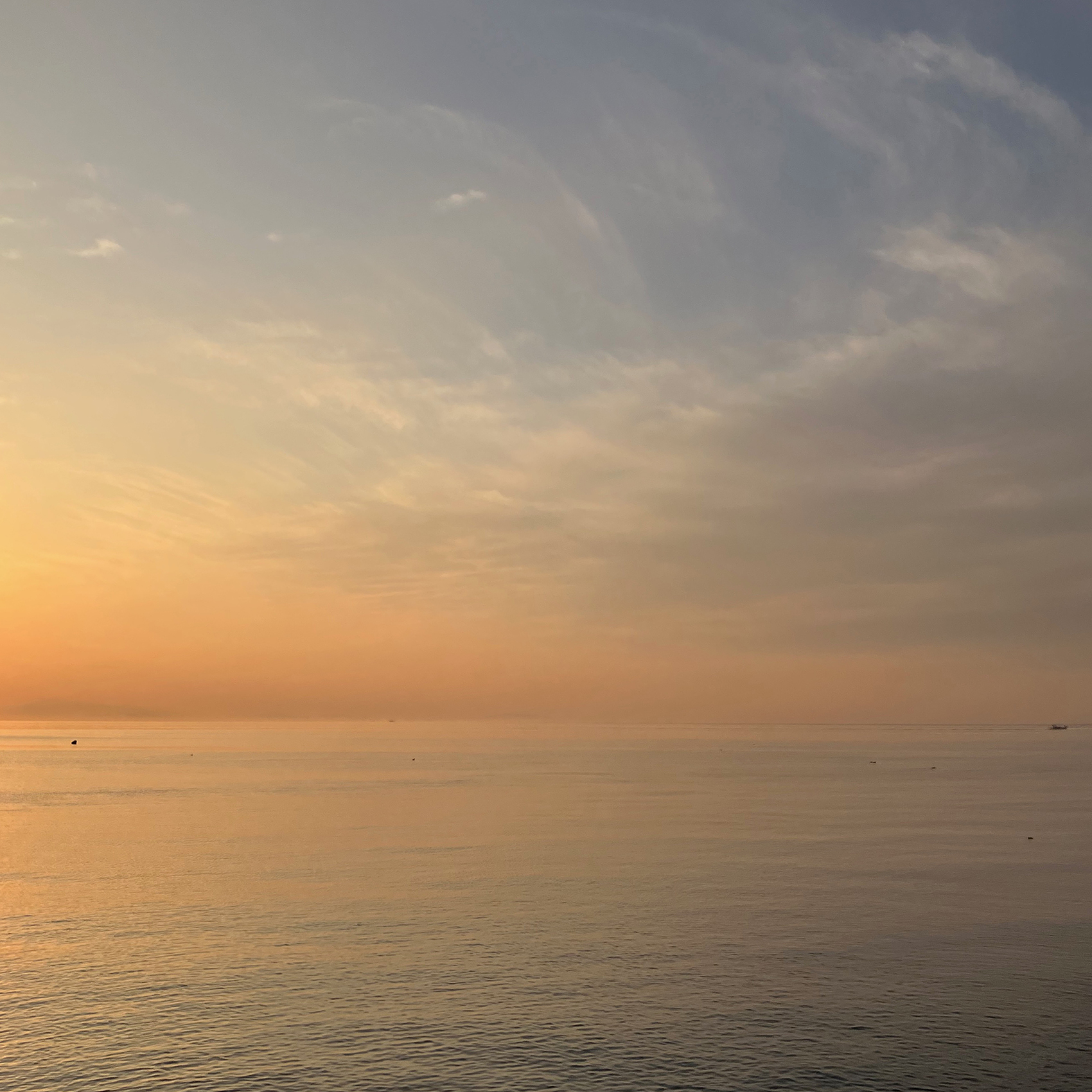 #墓じまい #墓じまい相談 #海洋葬 #粉骨 #散骨 #海洋散骨 #ペット散骨 #終活 #瀬戸内散骨堂 #ペットセレモニー #はかじまい #神戸